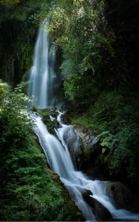 Waterfall flowing through dense Costa Rican forest