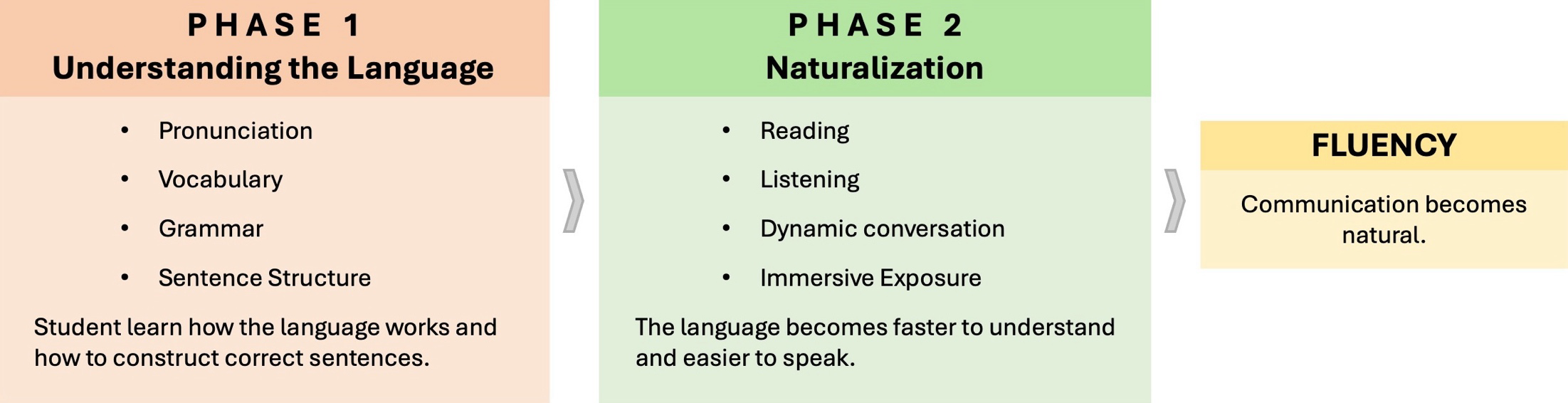 Phase 1 understanding the language, Phase 2 naturalization, and fluency diagram